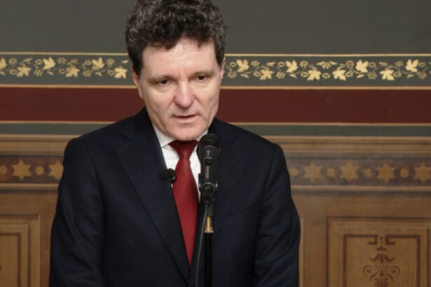 video nicusor dan nu sunt adeptul unei cedari a sistemului judecatoresc catre politic sistemul de justitie sa se autoguverneze 6941791651996