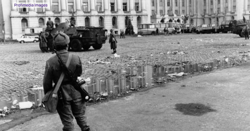 video pelerinaj pe drumul cenusii pentru eroii revolutiei de la timisoara bunica mea a fost erou martir a avut o inima mare 6946869e197a1