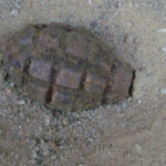 video pericol la pescuit un barbat din mehedinti a agatat doua grenade cu undita pe malul dunarii au fost chemati pirotehnistii 6933ee805829a