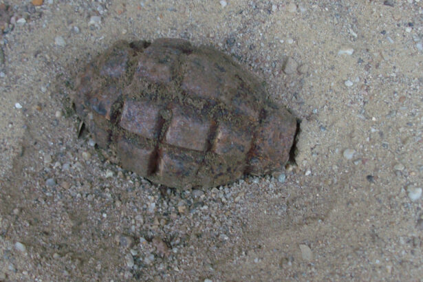 video pericol la pescuit un barbat din mehedinti a agatat doua grenade cu undita pe malul dunarii au fost chemati pirotehnistii 6933ee805829a