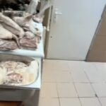 video pericol public restaurantul namo greek a fost inchis imaginile spun totul gandaci soarece mort praf tigai arse 6947ca58a718a