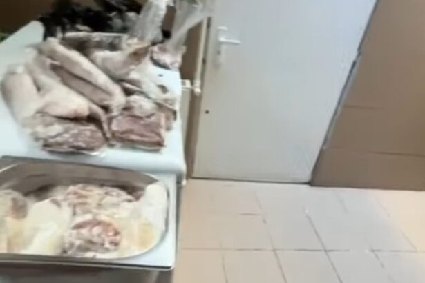 video pericol public restaurantul namo greek a fost inchis imaginile spun totul gandaci soarece mort praf tigai arse 6947ca58a718a