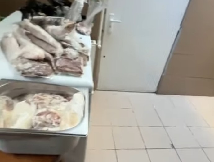 video pericol public restaurantul namo greek a fost inchis imaginile spun totul gandaci soarece mort praf tigai arse 6947ca58a718a