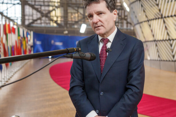 video reactia lui nicusor dan la propunerile miruta si darau pentru aparare si economie din partea usr 694426636a302