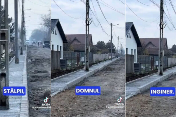 video stalpi lasati in mijlocul trotuarului la slobozia primarul cearta drumarii suntem cascadorii rasului ce ati facut este o panarama 693d8b615fbbc