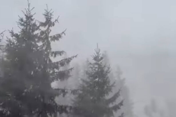 video turisti blocati in refugiul caltun operatiunea de evacuare planificata pentru luni am fi pus in pericol salvatorii 695198515f766