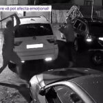 video un barbat a intrat cu toporul intr o casa l a atacat pe proprietar si a distrus doua masini imagini de pe camera de supraveghere 694e34008ac45