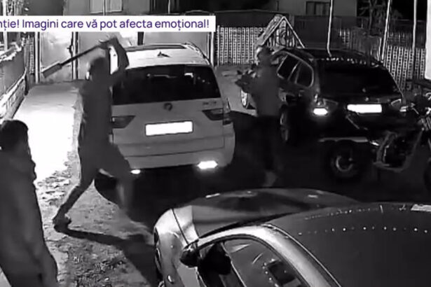 video un barbat a intrat cu toporul intr o casa l a atacat pe proprietar si a distrus doua masini imagini de pe camera de supraveghere 694e34008ac45