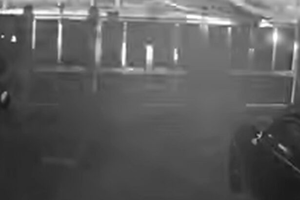 video un tanar de 19 ani din dolj a murit dupa ce a pierdut controlul masinii si s a izbit de un cap de pod accidentul surprins de camere 693fbdcf249ea