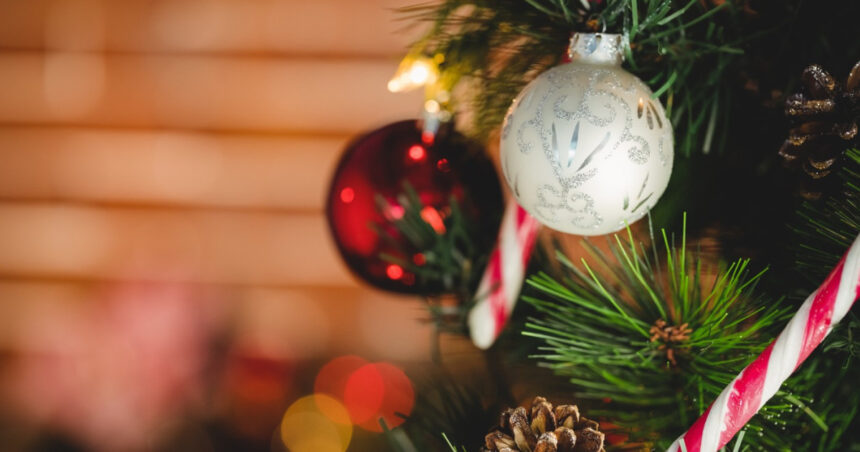 vreme rece brazi de craciun si praf de ce alergiile tale pot sa se agraveze in perioada craciunului 694e17dc79d9f