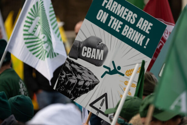 agricultorii belgieni protesteaza cu cartofi prajiti in fata parlamentului european 695fd5d19c11b