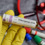 alerta in romania primul caz de virus chikungunya confirmat la un barbat venit din africa trebuie sa ramanem linistiti 697c7819de584