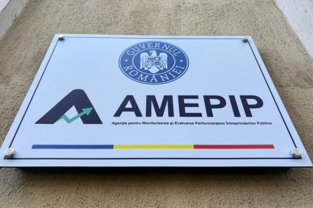 amepip incepe controalele la 847 de autoritati publice pentru verificarea respectarii procedurilor de selectie 69601077b31c8