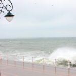 anm a emis cod galben de vijelii pe litoral cand intra in vigoare si cat dureaza 69579ad228b04