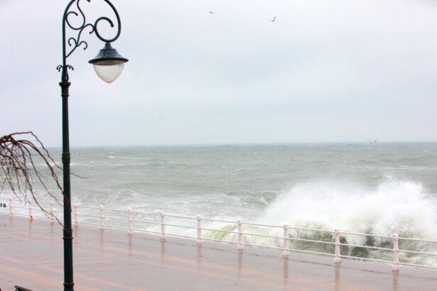 anm a emis cod galben de vijelii pe litoral cand intra in vigoare si cat dureaza 69579ad228b04