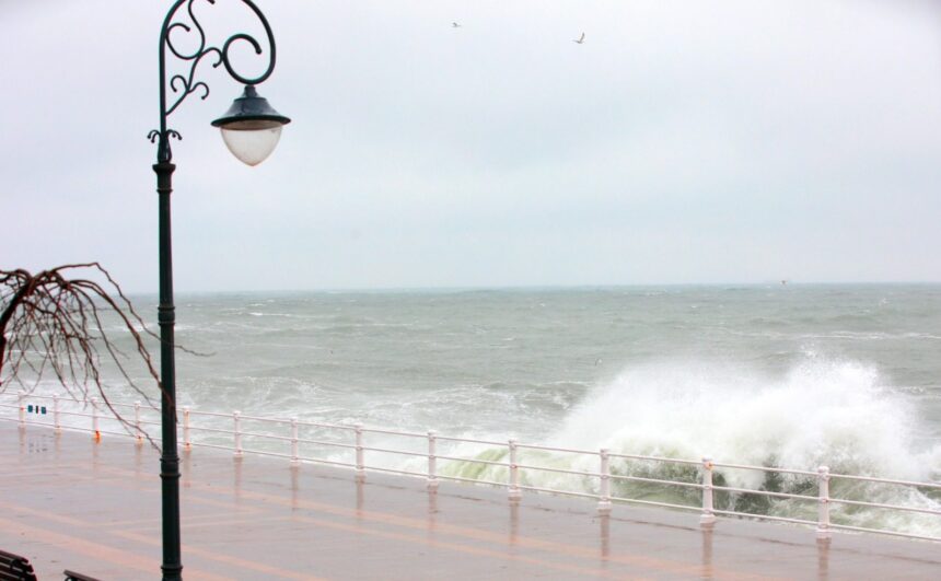 anm a emis cod galben de vijelii pe litoral cand intra in vigoare si cat dureaza 69579ad228b04