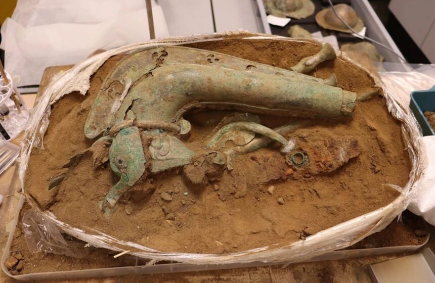 arheologii au descoperit trompeta cu care celtii ii inspaimantau pe romani in batalie 697a360dafac1