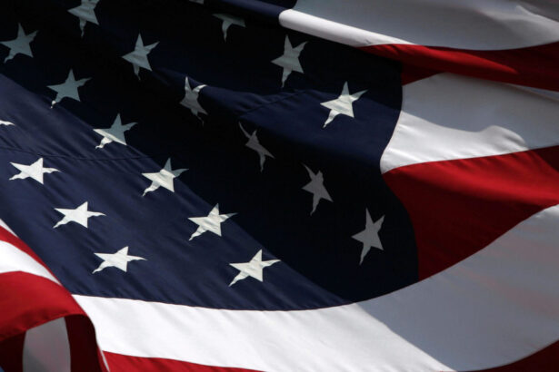 aur cere ca 2026 sa fie declarat anul americii in romania sub conducerea lui trump influenta americana s a facut resimtita 695b943072d8f