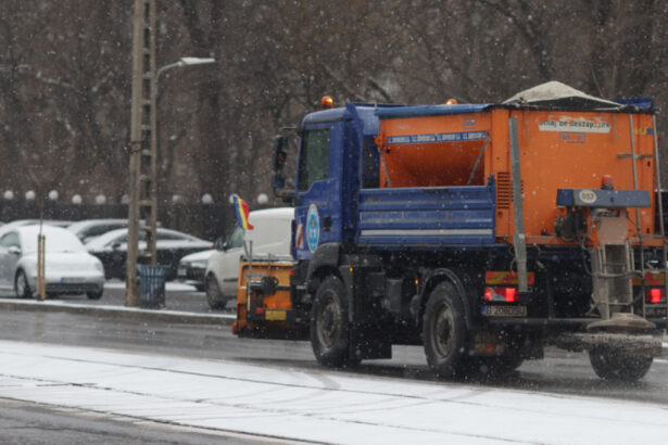 autoritatile locale din capitala intervin pentru deszapezire pompierii au indepartat patru copaci doborati de vant 69601fa18243c