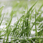 axiopolis cernavoda si a anulat amicalul de sambata din cauza conditiilor meteo nefavorabile 697cfe245e593