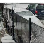 barbatul care a abandonat un caine in ger la marginea localitatii 23 august a fost identificat si amendat 6962288300abd