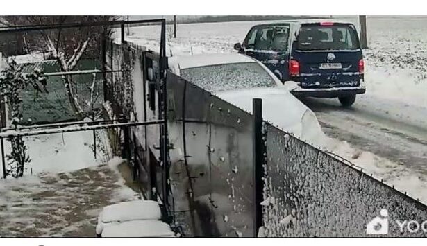 barbatul care a abandonat un caine in ger la marginea localitatii 23 august a fost identificat si amendat 6962288300abd