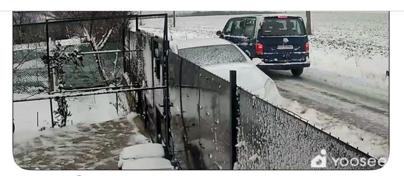 barbatul care a abandonat un caine in ger la marginea localitatii 23 august a fost identificat si amendat 6962288300abd