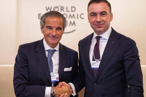 bogdan ivan discutii cu seful aiea la davos mesajul ministrului energiei energia nucleara nu este o dezbatere teoretica 69711ffb112fe