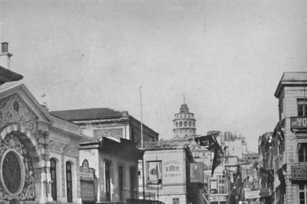 cand europa era prea mica germania si miza otomana 696a63c09c9b0