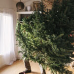 cat timp este recomandat sa tinem bradul impodobit cand este ziua potrivita pentru a l strange conform traditiei 6958b8edcdbe9