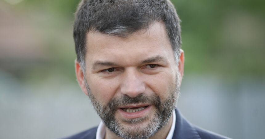 cazul padurii de la baile felix solutiile fostului sef al garzii de mediu pentru stoparea furtului de lemn 6977de43daf82