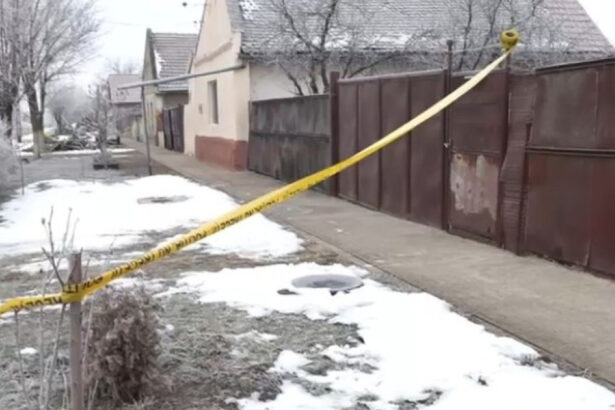 ce spune un sociolog despre cazul cumplitei crime din timis astfel de evenimente nu apar in vid 697487d9e1d6d