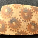 cea mai veche arta botanica cunoscuta dovedeste o gandire matematica timpurie 695851404f531