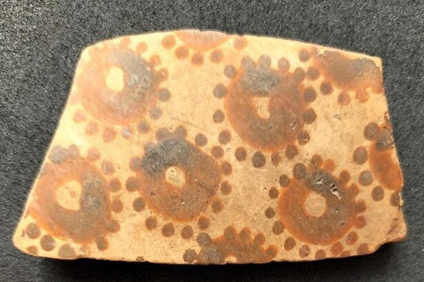 cea mai veche arta botanica cunoscuta dovedeste o gandire matematica timpurie 695851404f531