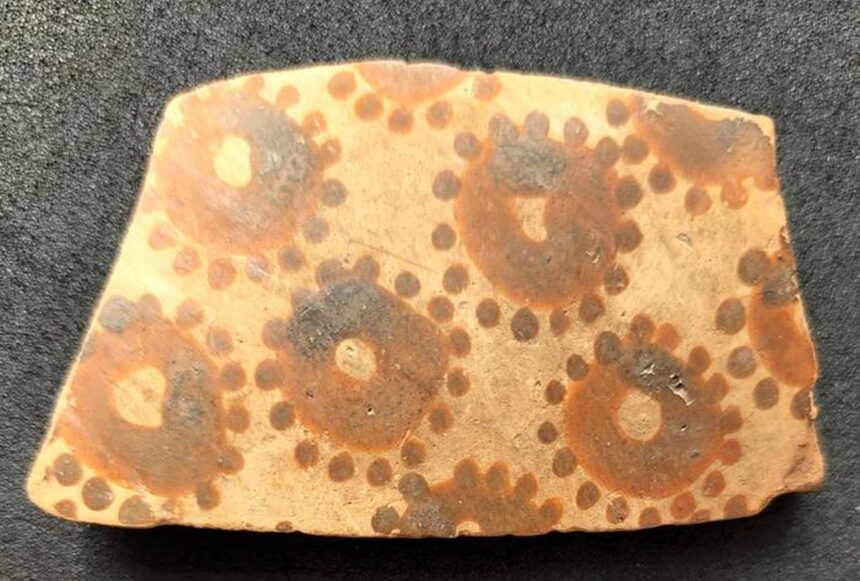 cea mai veche arta botanica cunoscuta dovedeste o gandire matematica timpurie 695851404f531