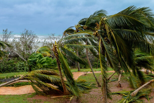 cuba acuza sua de manipulare politica dupa trimiterea ajutorului pentru uraganul melissa 69693a7f93924