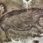 cum au transportat oamenii porcii peste pacific 696ba71851e70