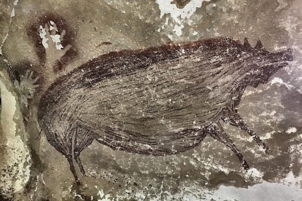 cum au transportat oamenii porcii peste pacific 696ba71851e70