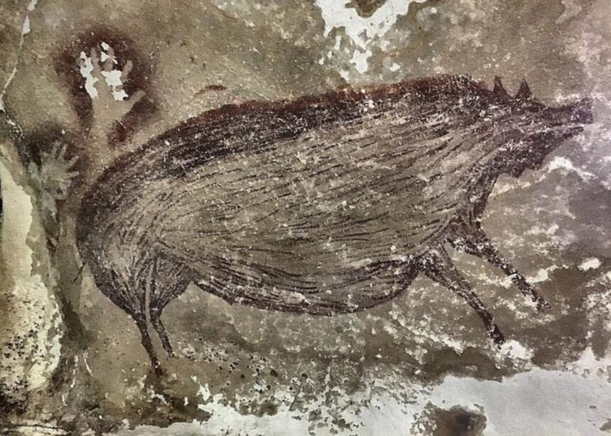 cum au transportat oamenii porcii peste pacific 696ba71851e70