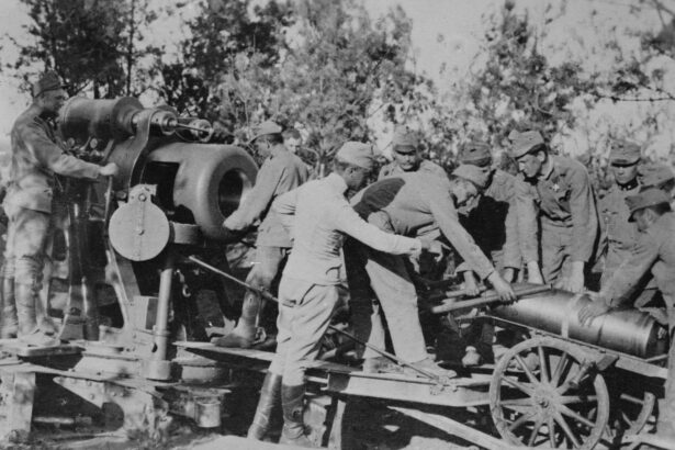 cum era sa izbucneasca primul razboi mondial cu doi ani mai devreme 697381db66c4a