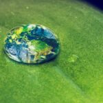 cum putem sa hranim intreaga lume fara sa distrugem planeta 6957853080bba