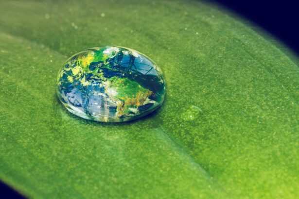 cum putem sa hranim intreaga lume fara sa distrugem planeta 6957853080bba