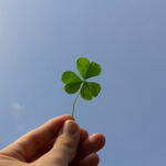 de ce se spune ca trifoiul cu patru foi aduce noroc o istorie a raritatii simbolului si atentiei 695f6dff2762c