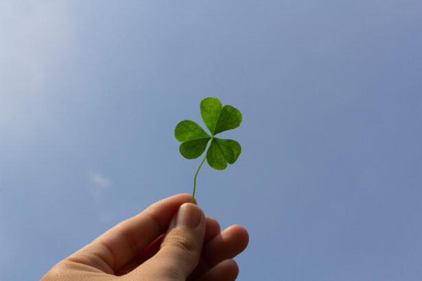 de ce se spune ca trifoiul cu patru foi aduce noroc o istorie a raritatii simbolului si atentiei 695f6dff2762c