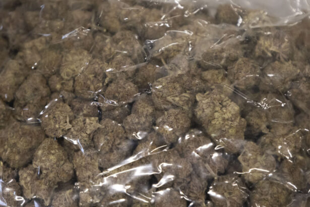 doi barbati sunt cercetati de diicot pentru trafic de droguri dupa ce au fost prinsi in flagrant cu 35 kilograme de canabis 6957aa04385d5