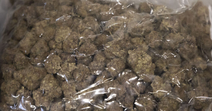 doi barbati sunt cercetati de diicot pentru trafic de droguri dupa ce au fost prinsi in flagrant cu 35 kilograme de canabis 6957aa04385d5