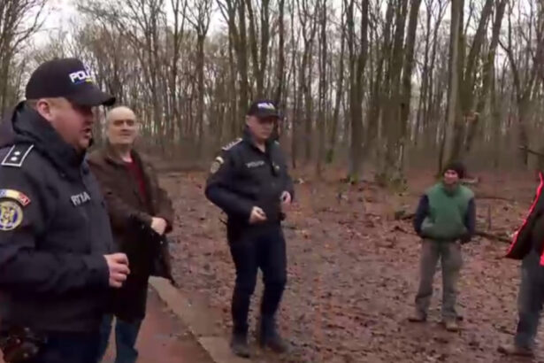 exclusiv ancheta scoate la iveala noi nereguli in padurea de la baile felix sunt mai multi arbori taiati ilegal decat in plangerea penala 697a5e3cd38d9