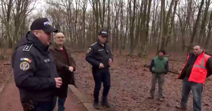 exclusiv ancheta scoate la iveala noi nereguli in padurea de la baile felix sunt mai multi arbori taiati ilegal decat in plangerea penala 697a5e3cd38d9