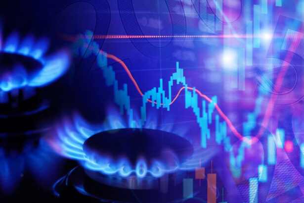 exclusiv noi scumpiri la gaze seful anre avertizeaza asupra ofertelor neserioase niculescu exista deja preturi sub plafon dupa 1 aprilie 6979ff10d99b4