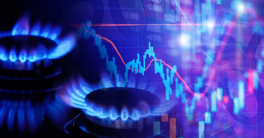 exclusiv noi scumpiri la gaze seful anre avertizeaza asupra ofertelor neserioase niculescu exista deja preturi sub plafon dupa 1 aprilie 6979ff10d99b4